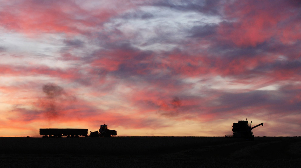 Золотая осень 2014