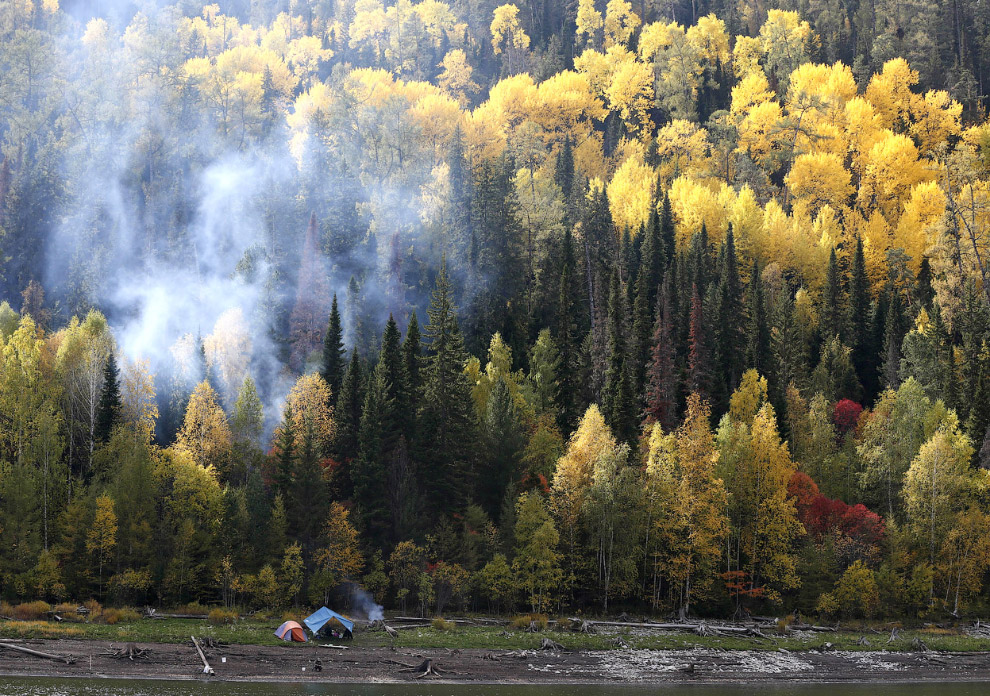 Золотая осень 2014