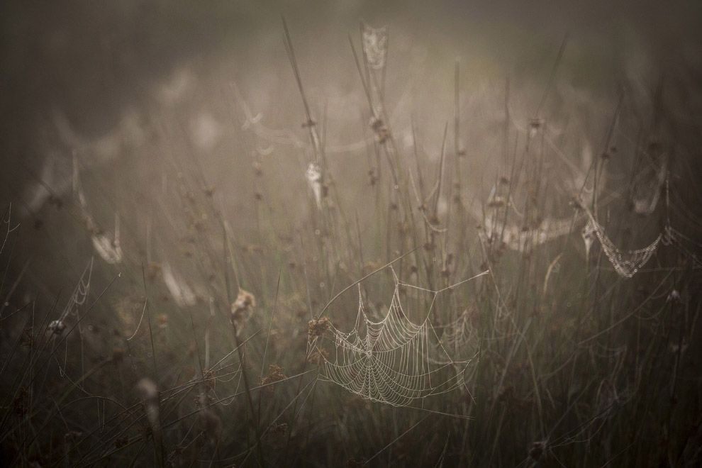 Золотая осень 2014