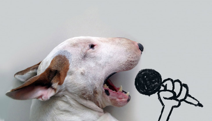 Иллюстрированный пес