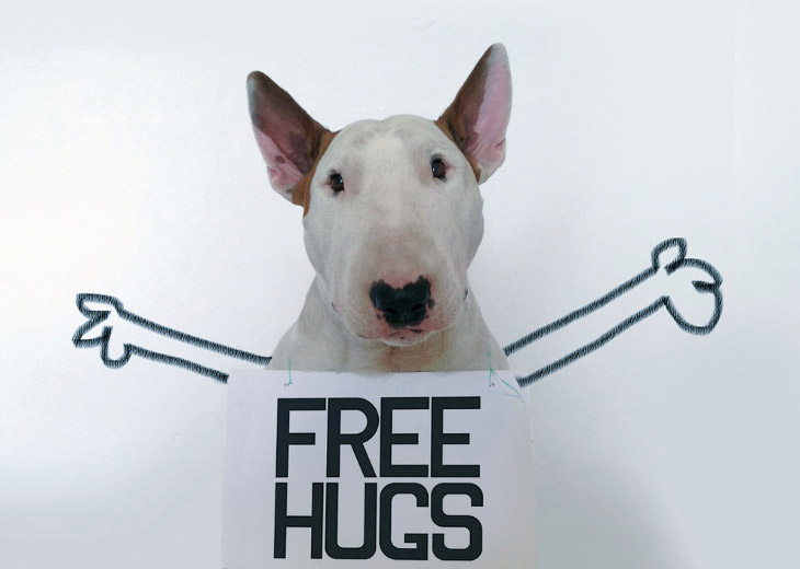 Иллюстрированный пес