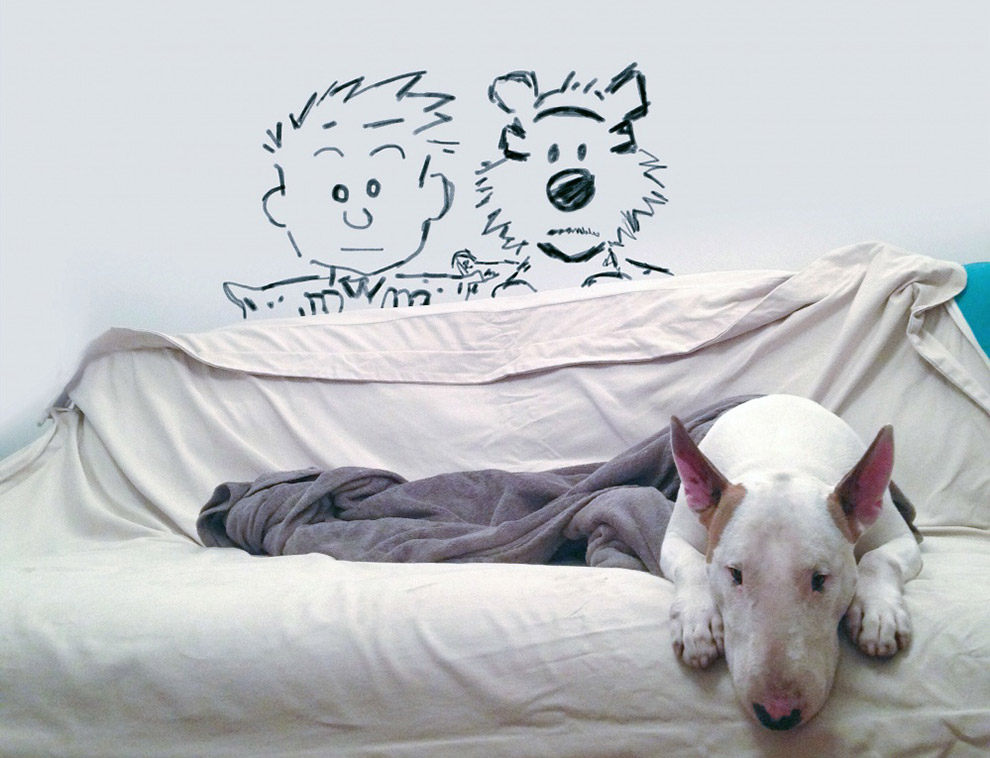 Иллюстрированный пес