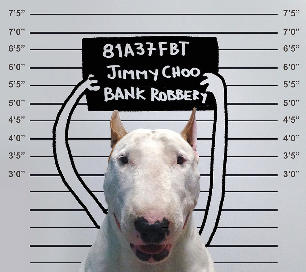 Иллюстрированный пес