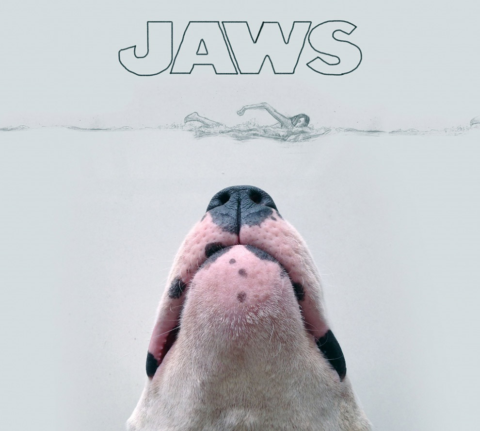 Иллюстрированный пес