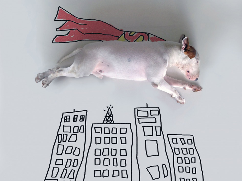 Иллюстрированный пес