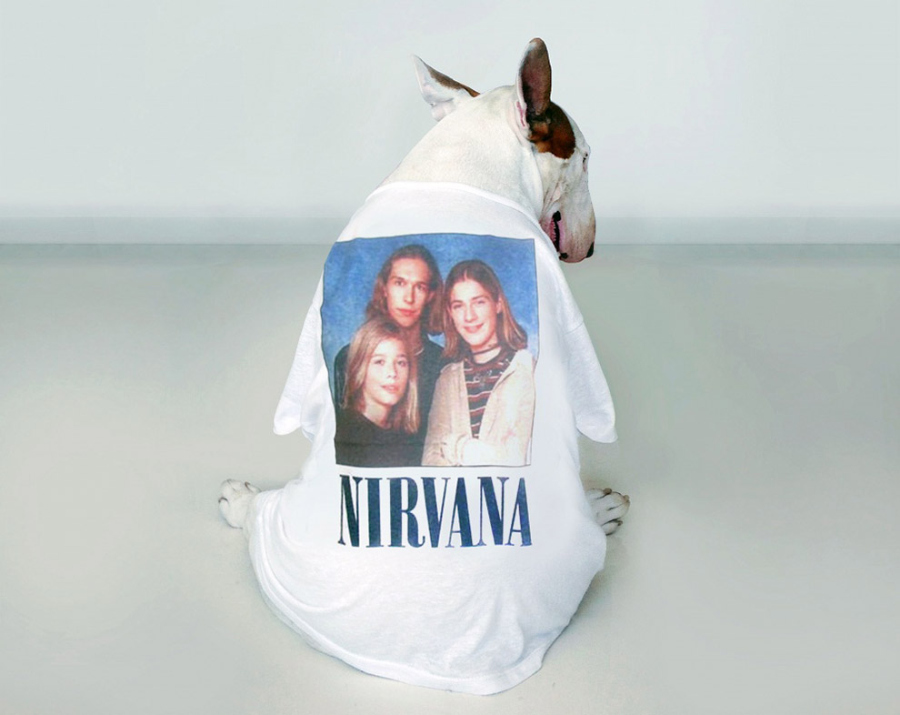 Иллюстрированный пес