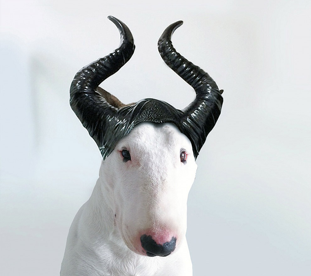 Иллюстрированный пес