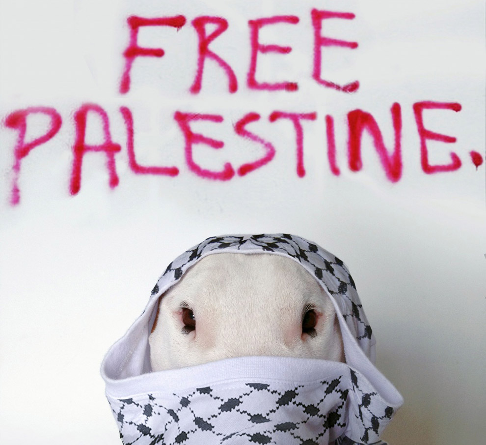 Иллюстрированный пес