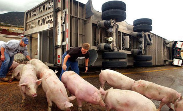 Аварии с грузовиками