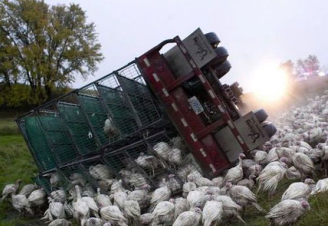 Аварии с грузовиками