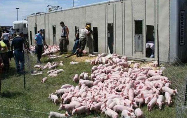 Аварии с грузовиками