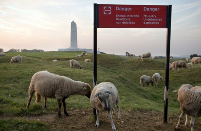 Красная зона во Франции