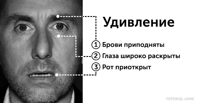 Как узнать, что человек думает на самом деле