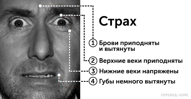 Как узнать, что человек думает на самом деле