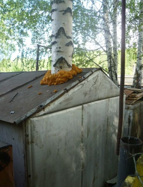 Гаражный юмор