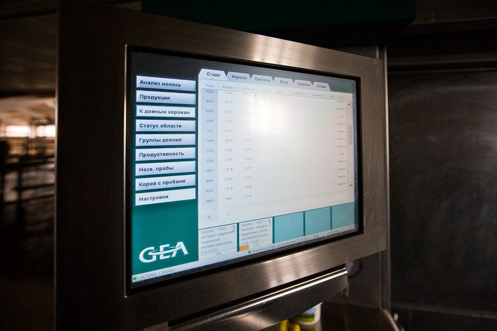 О коровах и роботах