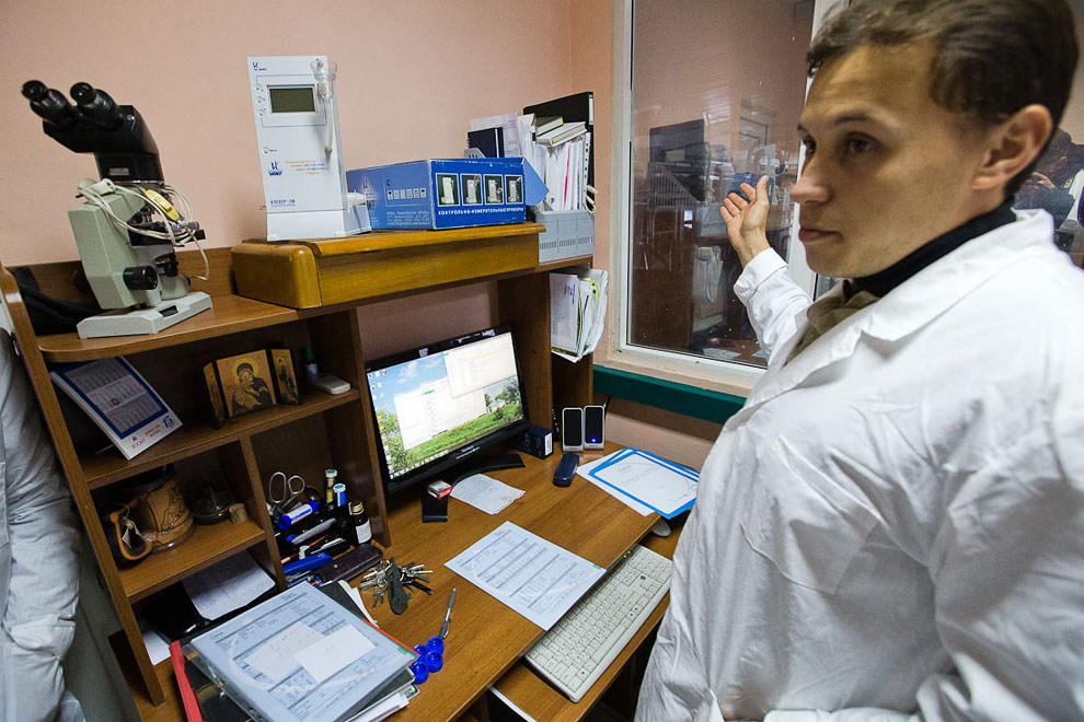 О коровах и роботах