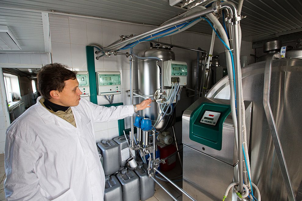 О коровах и роботах