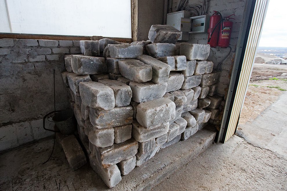 О коровах и роботах