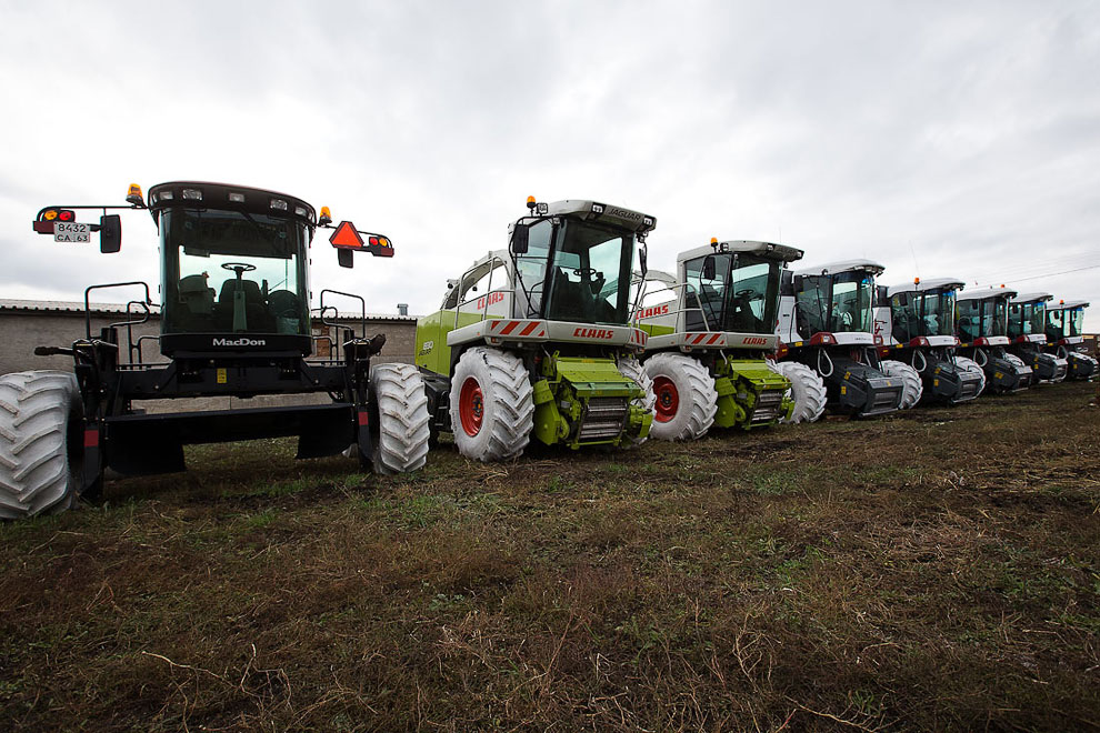 О коровах и роботах