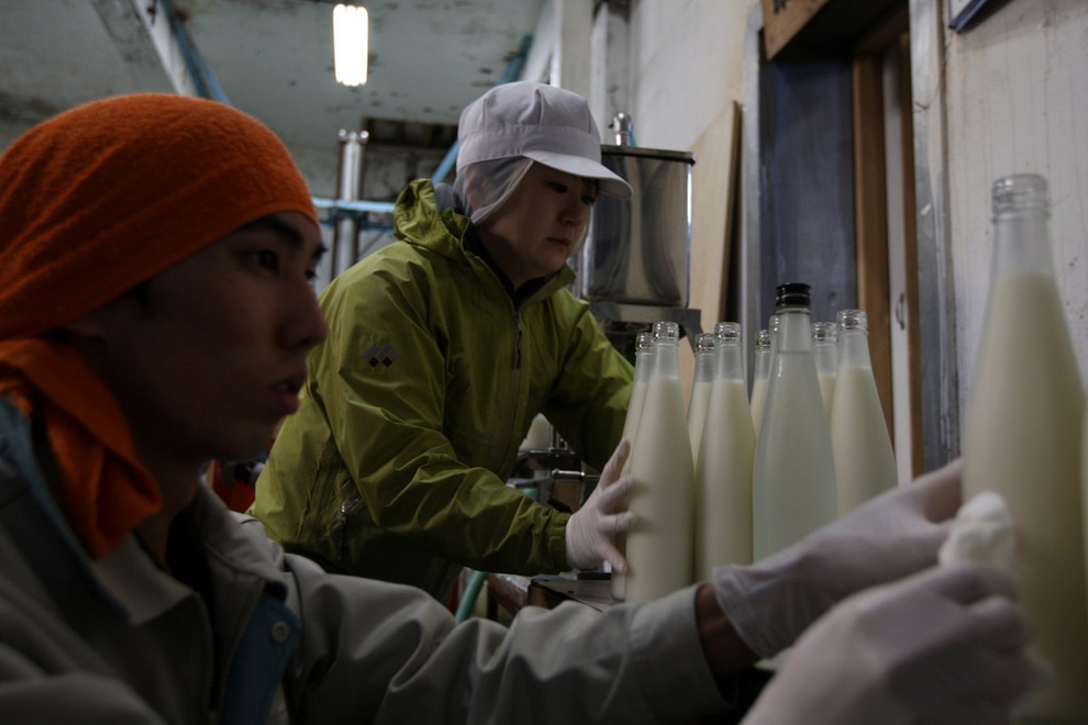 Как варят традиционное японское саке