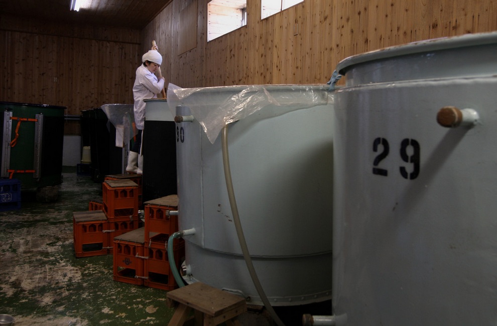 Как варят традиционное японское саке