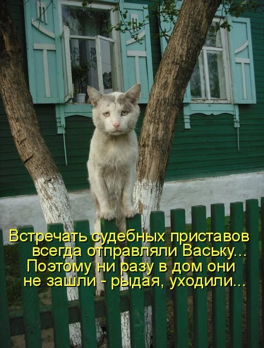 Народные маразмы