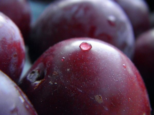 Фруктовый гороскоп