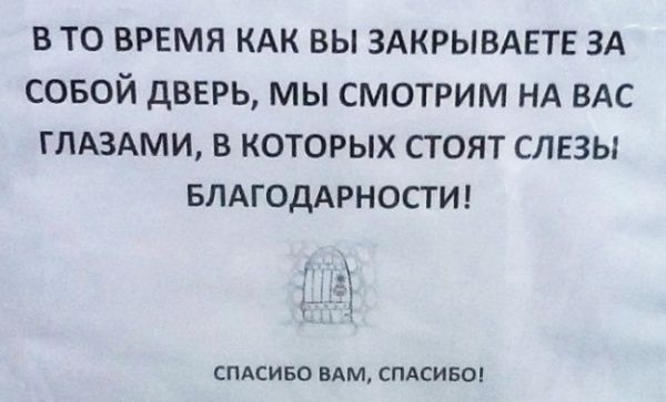 Лучшие объявления 2013