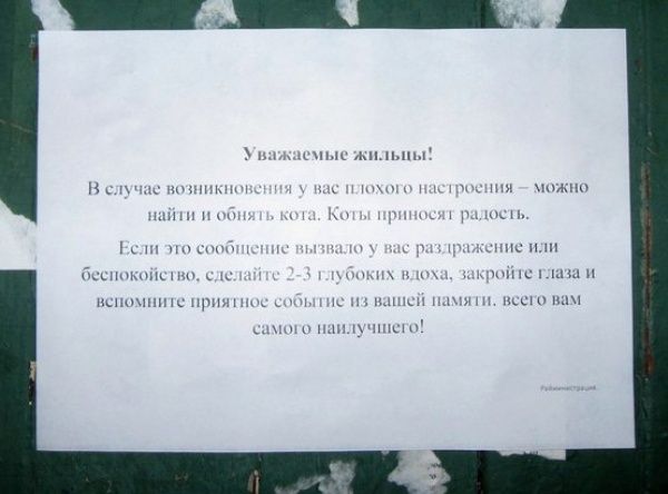 Лучшие объявления 2013