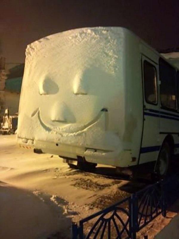 Прикольные картинки