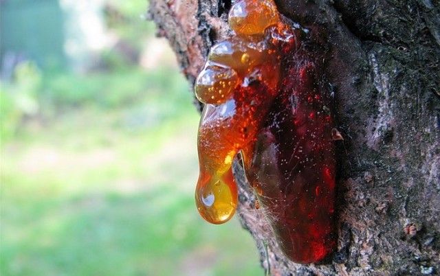 Любимые угощения советских детей Любимые угощения советских детей