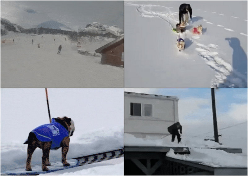 Зимние забавы, которые закончились не очень благополучно