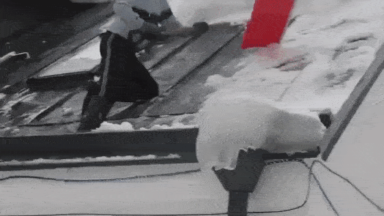 Зимние забавы, которые закончились не очень благополучно