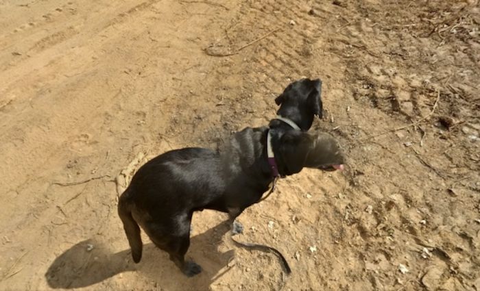 Неудачные снимки Google