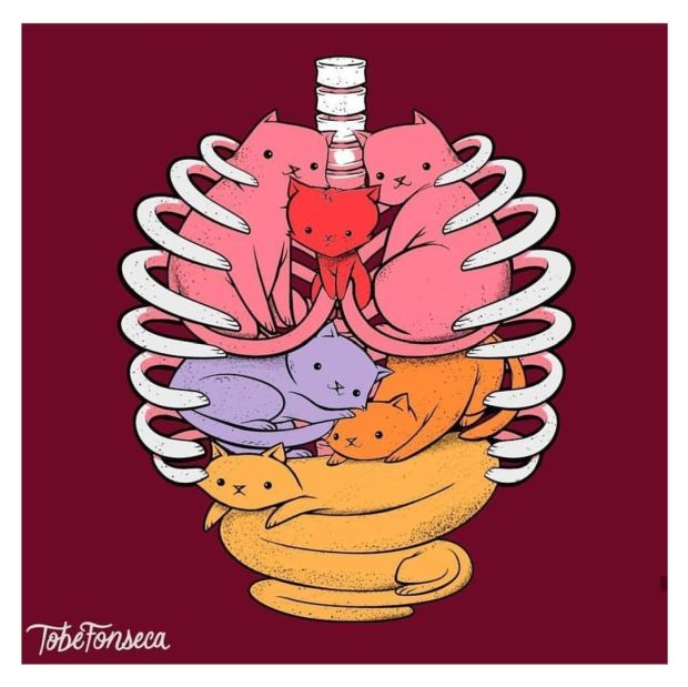 Смешные комиксы