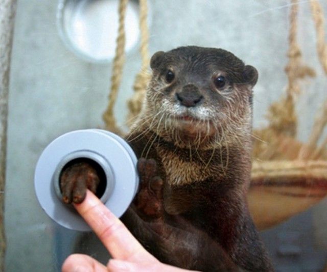 Крутые изобретения японцев