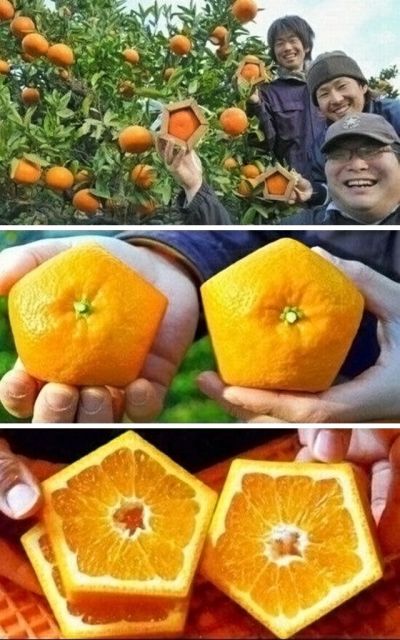 Крутые изобретения японцев