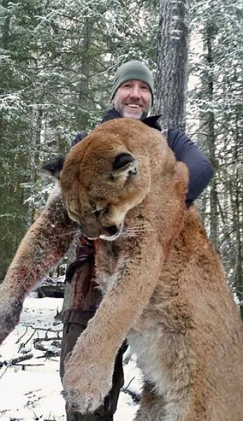 Канадский телеведущий похвастался убитой пумой и ее внутренностями