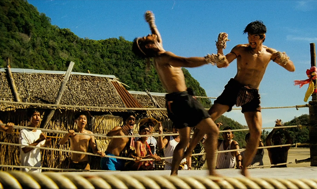 10 боевых искусств для победы над противником