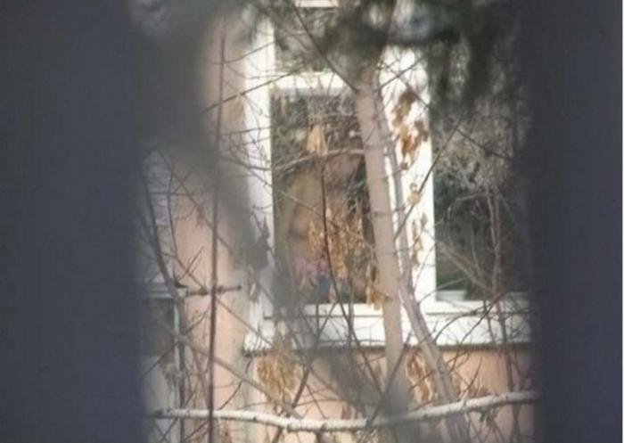 Прелести общежития