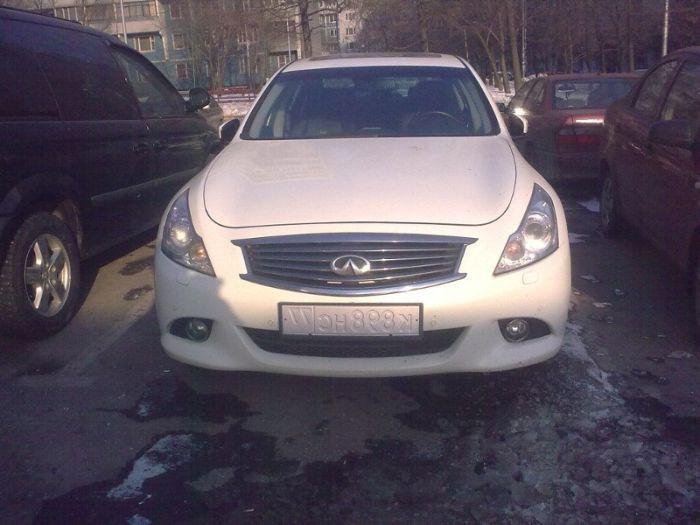 Прикольные картинки