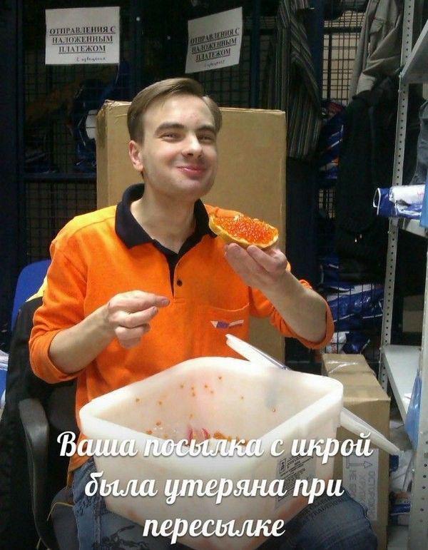 Прикольные картинки