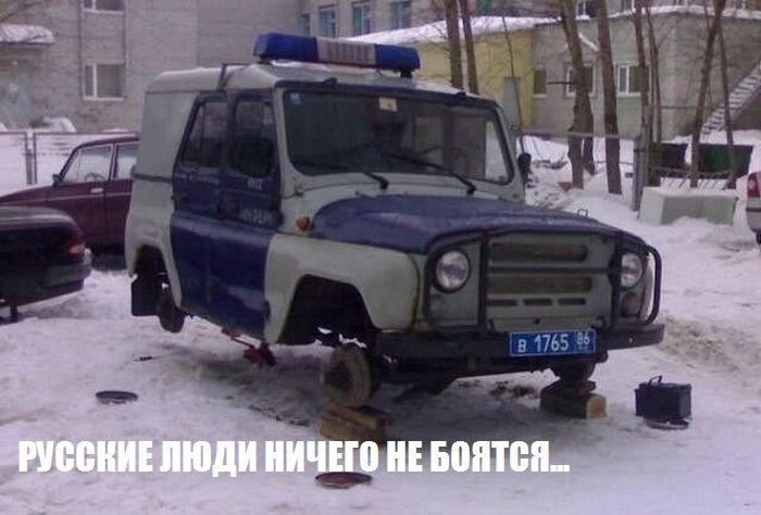 Прикольные картинки