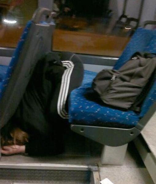 Прикольные картинки