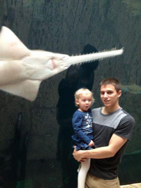 Прикольные картинки