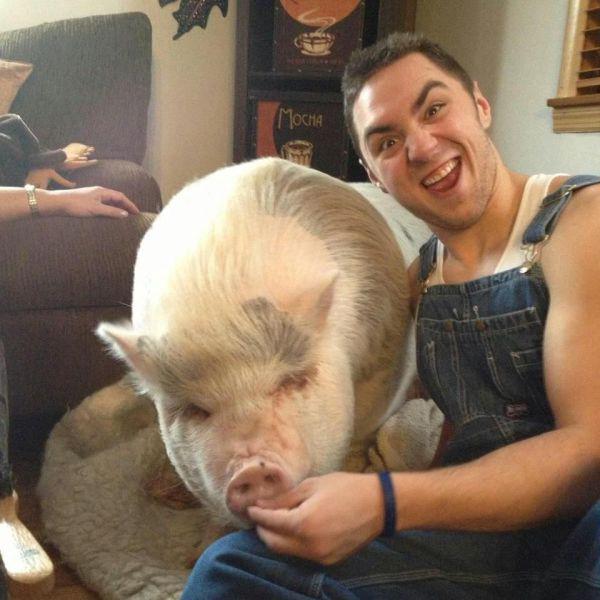 Прикольные картинки