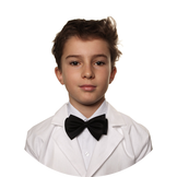 Степень включенности Степень включенности