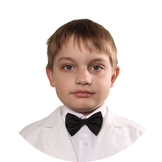 Степень включенности Степень включенности