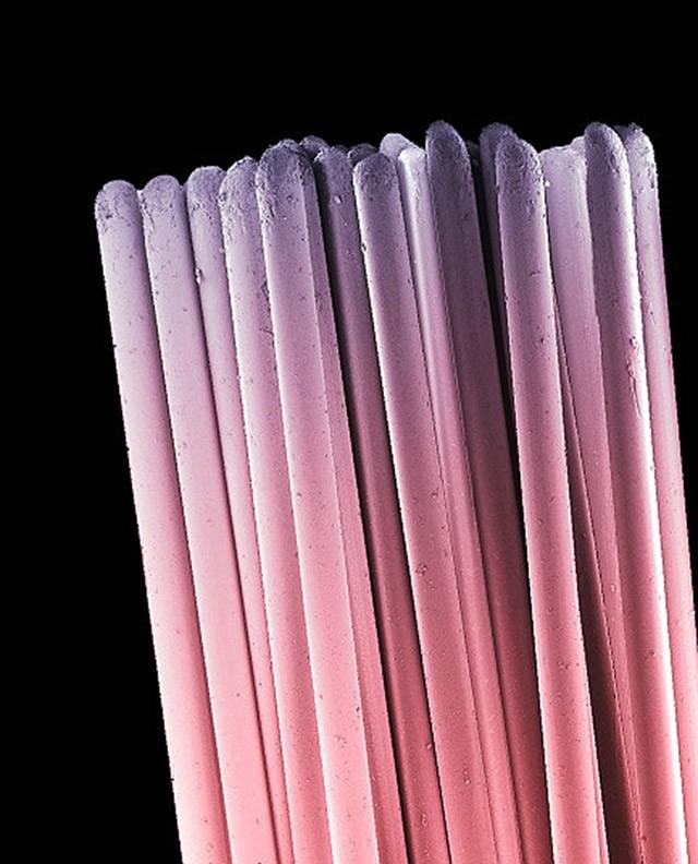 То, что таится у вас во рту, очень крупным планом То, что таится у вас во рту, очень крупным планом